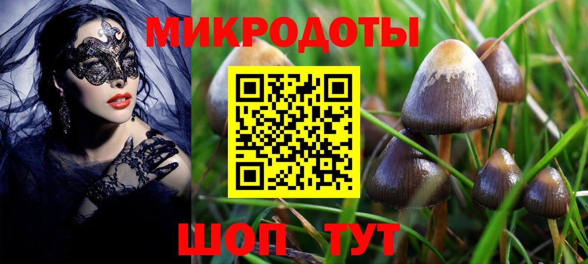Псилоцибиновые грибы Magic Shrooms Алапаевск